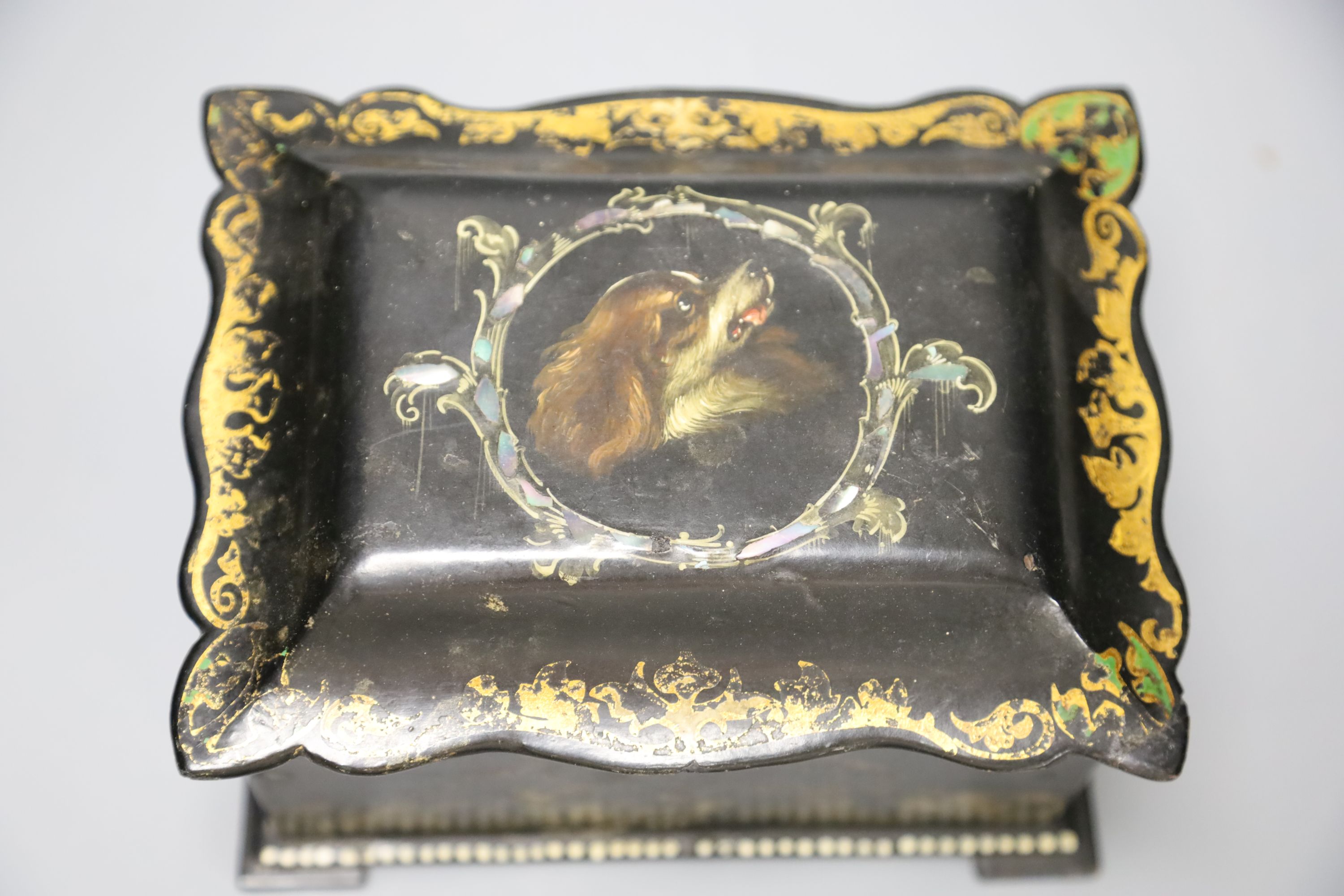 A 19th century black papier mache tea caddy cover painted with a central cartouche of a dogs head